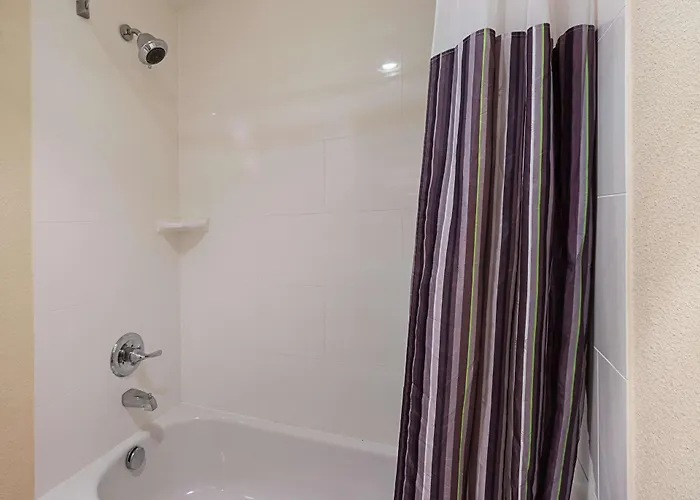 La Quinta By Wyndham Dfw Airport South / Irving Hotel